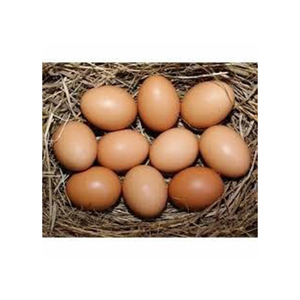 Venta al por mayor calidad huevos de gallina marrón al por mayor de alto fabricante nuevo mejor material con tarifa barata - Product Image 2