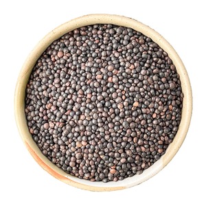 Reliable Source for Black Lentils Bulk <b>Packed</b> Fresh Black Lentils for Wholesale Food Industry - Product Image 5