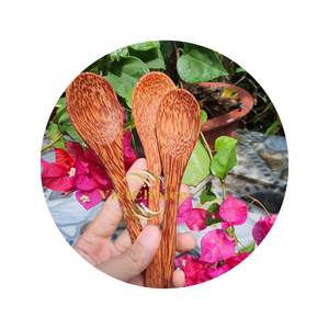 Cuillère à noix de coco jetable écologique de haute qualité cuillère à yaourt aux fruits faits à la main prix incroyable vente en gros du Viet Nam - Product Image 3