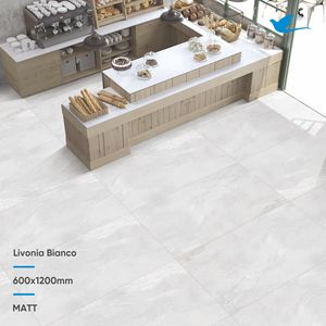 Carreaux de sol en porcelaine gris argenté mat de qualité A-1 pour salle de bain et cuisine, provenant d'un fabricant indien - Product Image 3