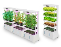 Système de culture hydroponique de laitue, culture verticale sans terre de fraises bleues et de légumes, avec engrais A et B offerts