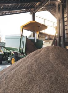 Arroz Selenio Hecho en Italia, Alta Calidad, Bolsa de 20 kg para la Industria Alimentaria y Horeca, Riso GVERDI, Selección de Alimentos Italianos, Hecho en Italia - Product Image 5