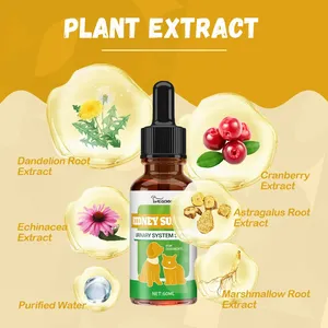 טיפות תמיכה בכליות לכלבים וחתולים, פורמולה וטרינרית מקצועית OEM/ODM - משפר תפקוד כליות טבעי, אורגני ובטוח לגורים - Product Image 4