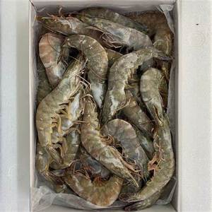 Fresco dolce gambero rosso congelato <span class=keywords><strong>IQF</strong></span> Vannamei e tigre nera gamberi senza testa e fritti alla rinfusa per l'imballaggio all'ingrosso della borsa