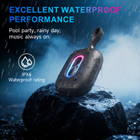 Haut-parleur audio Bluetooth portable avec éclairage RGB, radio FM, lecteur de carte TF, étanche, sans fil, pour extérieur
