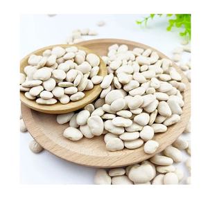 Haricots blancs longs secs de haute qualité emballage en vrac en gros prix discount chaud maintenant - Product Image 1