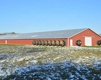 Bâtiment d'élevage de volailles à ossature métallique préfabriquée à faible coût, avec panneaux sandwich isolants, pour l'élevage