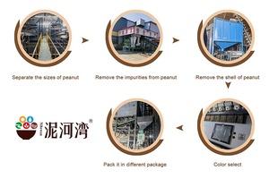 เคอร์เนลถั่วลิสงอินทรีย์ถั่วลิสงลวกส่วนประกอบขนมอบขนมแบบพรีเมี่ยม - Product Image 4