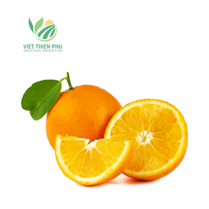 VIETNAM FROZEN ORANGE kualitas tinggi/tanaman baru 2024 harga bagus