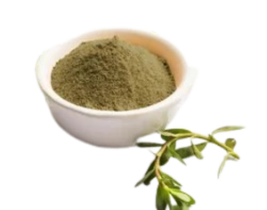 สารสกัดจากพืช Bacopa monnieri พรีเมี่ยม - Product Image 4