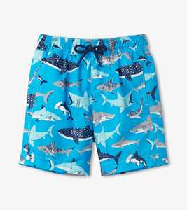 Traje de Baño de Playa para Hombre de Alta Calidad con Logotipo Personalizado, Shorts de Surf Transpirables, Shorts de Pesca con Bolsillo, Shorts de Baño - Product Image 3