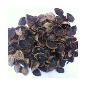 Opercule de coquillage naturel, coquille marine pour la fabrication de bijoux, les travaux manuels et les projets d'art décoratif - Product Image 2