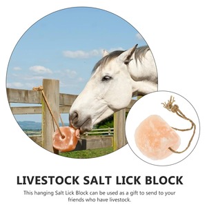 Dieren Likken Zoutblok Vee Gezondheid Supplement Huisdieren Leveren Konijnenboerderij Voor Paarden Bakstenen Blokken Voedseldieren Herten - Product Image 6