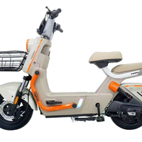 Vélo Électrique Adulte CCT 02 Iron Man 500W avec Moteur Sans Balais en Cuivre Pur, Pneus Tubeless 14x2.75, Écran LCD et Système Antivol Électronique pour la Ville
