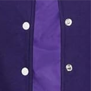 Nuevo 2025 Venta caliente al por mayor Fleece Varsity chaquetas universitarias al por mayor Universidad, béisbol, chaqueta para hombres - Product Image 5