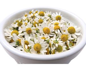 Huile essentielle de camomille, extrait d'herbe, fleur cultivée à l'état sauvage, emballage en boîte à bas prix de l'Inde - Product Image 3