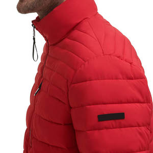 Veste matelassée pour homme à col montant, style streetwear, logo personnalisé imprimé de haute qualité, coupe-vent, écologique - Product Image 4