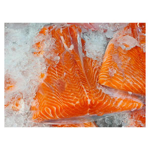 Salmón Congelado de la Mejor Calidad, Filete de Salmón Fresco Congelado - Product Image 6