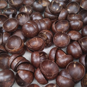 Juego de tazones desechables ecológicos de cáscara de coco pulida de Vietnam con muy buen precio para el mercado de la UE - Product Image 6