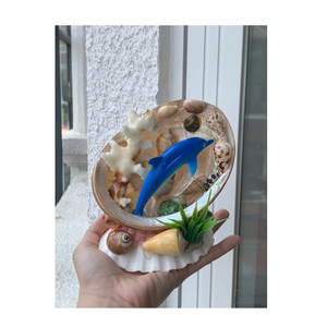 Artisanat et cadeaux en résine personnalisés Ornements de dauphins faits à la main avec des accents de coquillages pour la décoration d'aquarium professionnelle - Product Image 4