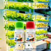 Équipement de plantation verticale intérieure, système hydroponique automatique pour la culture intérieure de bleuets, de laitues et d'herbes aromatiques avec nutriments gratuits