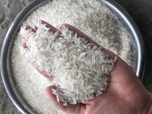 Arroz blanco orgánico jazmín vietnamita 5% roto de grano largo y corto fragante arroz seco fresco textura dura sin OGM para uso alimentario - Product Image 5