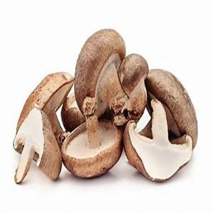 100% Champignon frais surgelé naturel à vendre à des prix modérés - Product Image 5