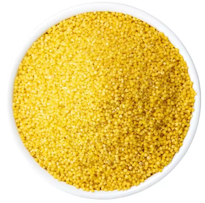 Millet pour l'alimentation des bovins alimentaires à haute teneur en protéines Millet jaune et blanc biologique riche en protéines Millet à grains sans gluten pour l'exportation - Product Image 1