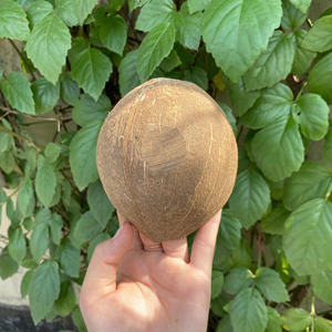 ชามทรงไข่กะลามะพร้าวธรรมชาติสำหรับไอศกรีม-ทำด้วยมือเป็นมิตรกับสิ่งแวดล้อมส่งออกพร้อม ECO2GO เวียดนาม - Product Image 6