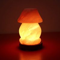 Lampe au sel Radiance supérieure moderne et tranquille Prix d'usine abordable Meilleur exportateur et grossiste de sel rose de l'Himalaya