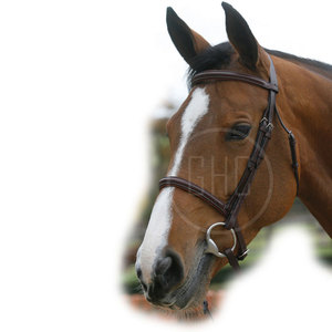 Bridon d'équitation confortable et durable, logo personnalisable, bridon d'équitation à vendre, bridon - Product Image 5