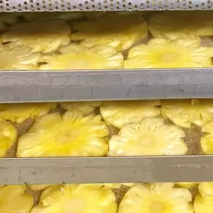 Tranches d'ananas séchées douces de haute qualité douceur naturelle collation saine à faible teneur en sucre pour l'exportation en vrac en gros OEM ODM - Product Image 4