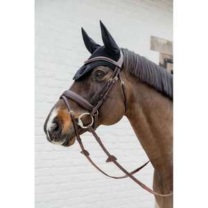 Bride de Muserolle Tressée Flash avec Pull Back Vente en gros Nouvelle bride en cuir de cheval de haute qualité en noir - Product Image 2