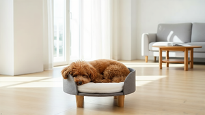 Lit surélevé de luxe confortable pour chien, rafraîchissant pour l'été, avec rebords amovibles, mousse respirante, design dessin animé, lit en bois pour animaux de compagnie - Product Image 4