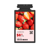 MinewTag Retail Store 10.1 ''LCD Pleine Couleur Vidéo Image Affichage Magasin Prix Étagère Bord Écran LCD Signalisation Numérique