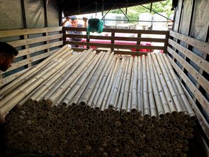 Varas de Bambú al por Mayor, Varas de Bambú Crudas para Jardinería - Varas de Bambú de Fábrica en Vietnam - Product Image 4