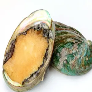 Frozen Gold abalone