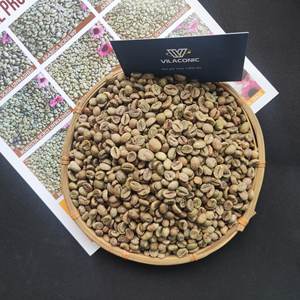 Granos de café verde Robusta de Vietnam de alta calidad de grado premium AA 90% madurez marca Vilaconic Jenny Doan - Product Image 6