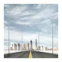 Lampu tiang lampu jalan lengan ganda penyanyi, tiang lampu galvanis 5 m/10 m/12 m berkualitas tinggi