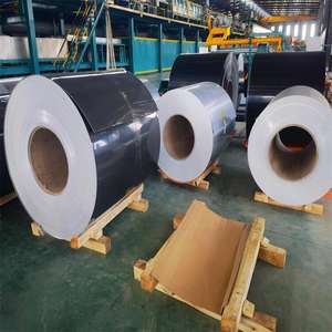 <span class=keywords><strong>RAL</strong></span> <span class=keywords><strong>1013</strong></span> <span class=keywords><strong>1015</strong></span> PPGI 0,48 mm Bobine d'acier galvanisé prélaqué couleur noire Bobines PPGI Tôles galvanisées prélaquées Fabricant de bobines PPGI - Product Image 1