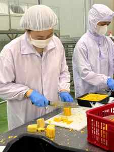 MAÏS CONGELÉ JAUNE ROI: MAÏS SUCRÉ CONGELÉ IQF, PRIX BON MARCHÉ, VENTE EN GROS DE L'USINE DU VIETNAM. - Product Image 2