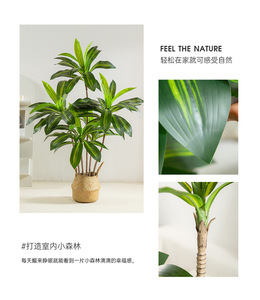 Planta <span class=keywords><strong>Artificial</strong></span> en Maceta Desmontada con Relieve, Bonsái Grande para Decoración de Interiores - Product Image 6