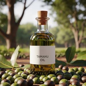 Fabricante de aceite Tamanu, aceite de semilla de Calophyllum Inophyllum prensado en frío al por mayor para formulación cosmética Natural - Product Image 5