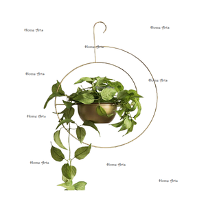 Pot de plante suspendu de couleur or de fer de qualité exclusive jardinière suspendue de forme ronde de conception fantastique pour la Offre Spéciale - Product Image 5