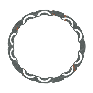 ผ้าเบรก ZF03LHC สำหรับ ZF 6HP19, 245 มม. HC (ไฮคาร์บอน) - Product Image 1