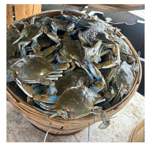 Panier de crabe en bois avec Vietnam: Panier de crabe en bois pour une vie verte, conçu pour des options de stockage de fruits de mer durables et à la mode - Product Image 4