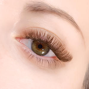Extensions de cils individuelles de qualité supérieure, plates, brunes, OEM ODM 0.05 0.07, faux cils colorés, fournitures de cils en gros, couleur brune - Product Image 5
