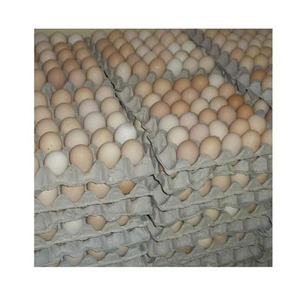 ไข่ทรงโต๊ะในฟาร์มไข่ไก่สัตว์ปีกสีน้ำตาลและสีขาวสด - Product Image 5