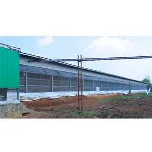 Large Commercial Poultry House H Cage Layer Chicken House prefab broiler poultry farm shed design