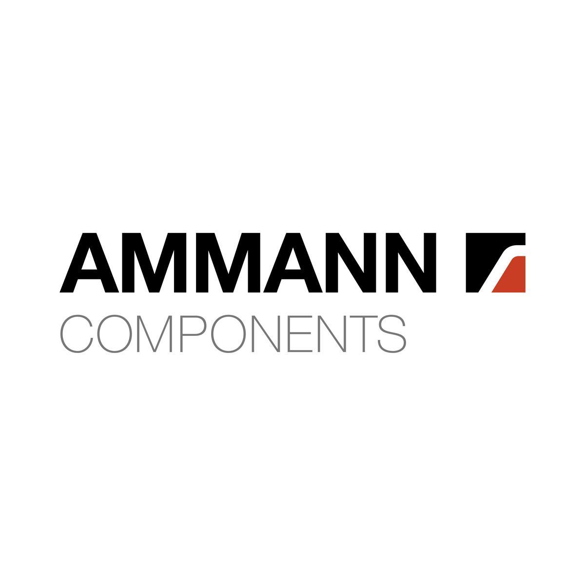 AMMANN AG Schmiede- und Bearbeitungstechnik logo